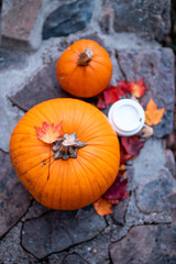 pumpkins in field