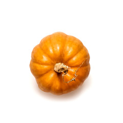 Orange round pumpkin isolated on white background