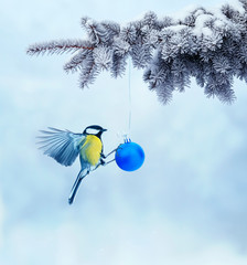 postcard with bird tit flying next to shiny festive ball on Christmas tree in winter Park