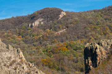 Autumn temperate deciduous forest landscape 