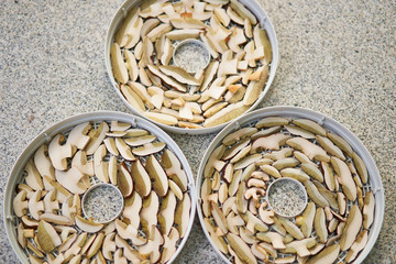 Three rounded dryers for drying machine full of fresh sliced wood mushrooms, variety of pine bolete or pinewood king bolete. Typical food ingredient of east european cuisine, czech, polish or russian.