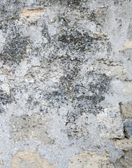 Old plastered wall.