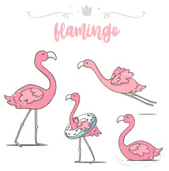 Set Flamingo Bird in Summer with Swimming. Hand drawn cute colofrul illustration. Flat design vector. Flying Pink Flamingo. Summer Beach Vacation Flamingo