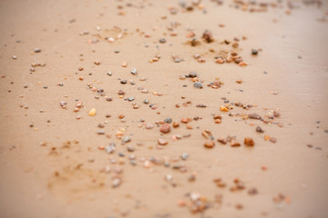 Small pebbles and amber on the beach. Sandy beach and shallow amber. Blurred abstract photo background with a beach.