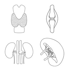 Vector illustration of anatomy and organ symbol. Set of anatomy and medical stock vector illustration.