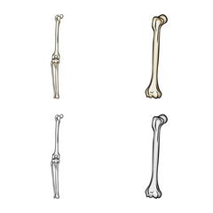 Vector illustration of medicine and clinic icon. Collection of medicine and medical stock vector illustration.