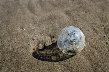 Old light bulb on the sand beach of the Danube River