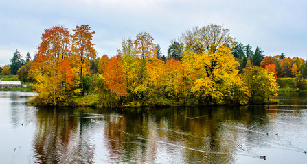 Golden colours of autumn park. Landscape with river and trees.