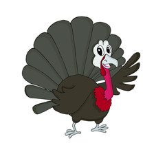 Turkey. Funny cute cartoons colorful farm bird hand drawn art design stock vector illustration for web, for print, for coloring page