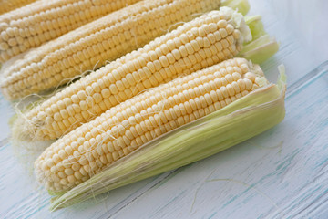 Background with fresh corn close-up. Farm harvest