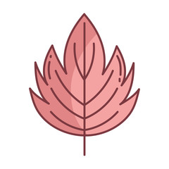 leaf hello autumn design icon