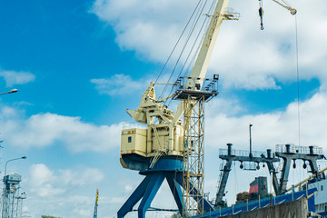 Fototapeta premium port tower cranes are in the port