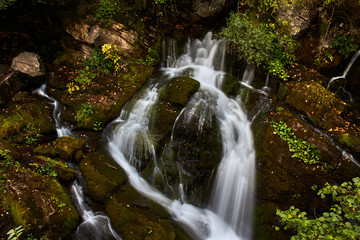 Water cascade between the rocks of a river