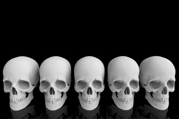 3d rendering. human head skull bone row with reflection on black background.