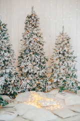 Christmas tree background. Beautifully decorated house.