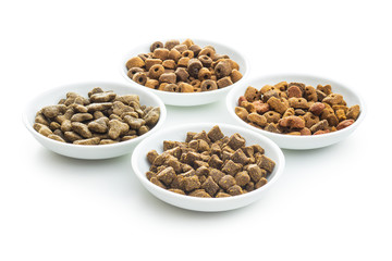 Fototapeta premium Dry kibble pet food. Kibble for dog or cat.