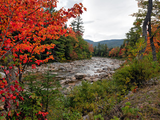 Fototapeta premium Along the Kancamagus Highway