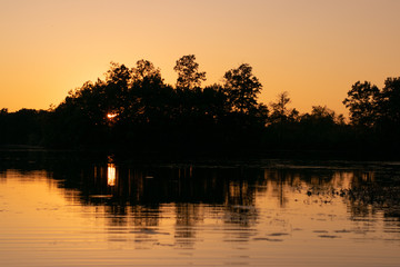 Sunset on Trees