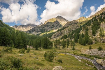 Obraz premium French Alps, Valley of Miracles, pristine nature. National Nature Park of France Mercantour