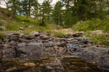 French Alps, Valley of Miracles, pristine nature. National Nature Park of France Mercantour