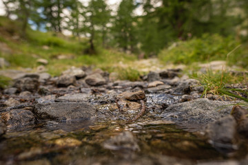 French Alps, Valley of Miracles, pristine nature. National Nature Park of France Mercantour