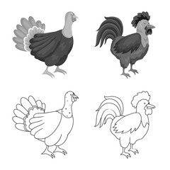 Vector design of breeding and kitchen symbol. Set of breeding and organic stock symbol for web.