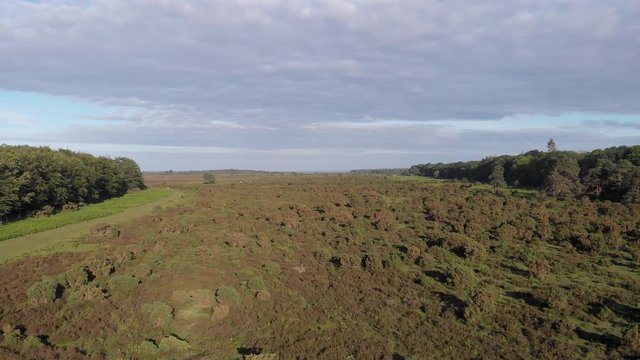 An aerial low altitude forward footage of the New Forest with trees and heartland under a white cloudy sky