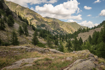 French Alps, Valley of Miracles, pristine nature. National Nature Park of France Mercantour