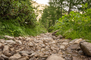French Alps, Valley of Miracles, pristine nature. National Nature Park of France Mercantour
