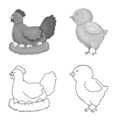 Vector design of breeding and kitchen icon. Set of breeding and organic stock symbol for web.