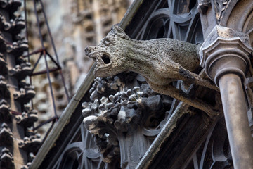 Elements of Gothic architecture. Grotesque, chimera and gargoyle sculptures on the facade of an ancient medieval cathedral. St. Stephen's Cathedral. Vienna. Austria