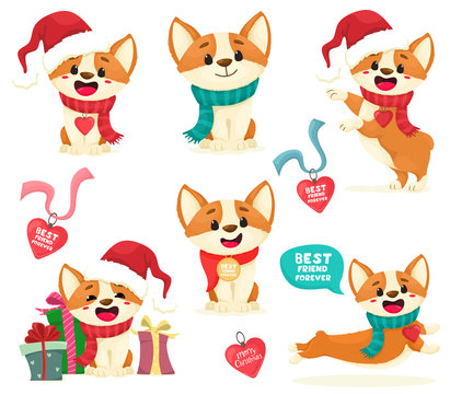 Puppies Corgi Set. Christmas Corgi puppies with medallions, gifts. Cute puppy isolates in cartoon flat style. Vector illustration.