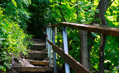 Stairs with wooden fence, sunny day 