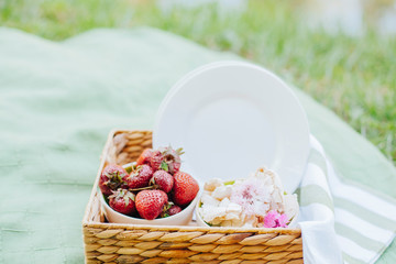 Morning picnic in the park. Tasty food. Snacks and fruits. Picnic basket. Lifestyles