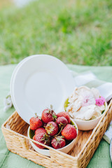 Morning picnic in the park. Tasty food. Snacks and fruits. Picnic basket. Lifestyles