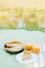 Morning picnic in the park. Tasty food. Snacks and fruits. Picnic basket. Lifestyles