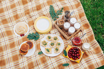 Morning picnic in the park. Tasty food. Snacks and fruits. Picnic basket. Lifestyles