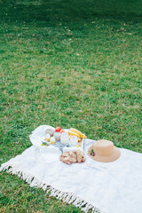 Morning picnic in the park. Tasty food. Snacks and fruits. Picnic basket. Lifestyles