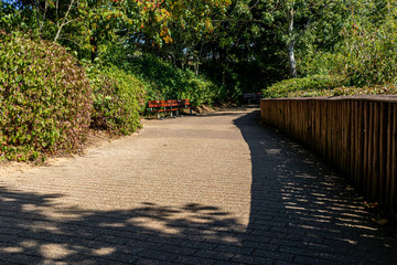 walkway between trees with fence on its side