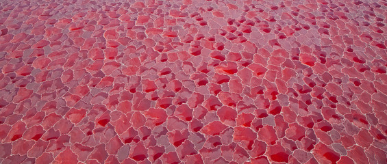 Lago Natron, Valle del Rift, Tanzania, Africa