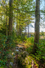 Autumn Nature Trail