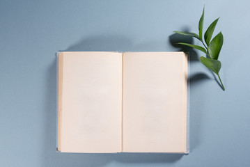 Book with a blank pages with copy space on blue background.