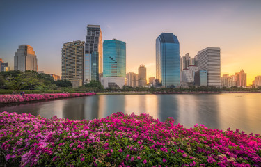 Lake with Purple Flowers in City Park under Skyscrapers at Sunrise. Benjakiti Park in Bangkok, Thailand