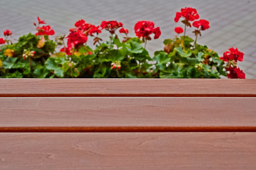 Empty field-wooden planks, and flowers Pelargonium, Geranium