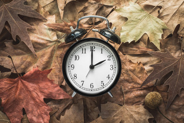 Classic Alarm Clock on Autumn Leaves / Fall Back / Daylight Saving Time
