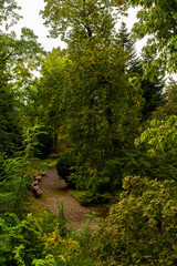 Naklejka premium Path and benches in the park