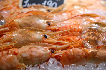 Large fresh king prawns on store counter in ice close up with sign for price
