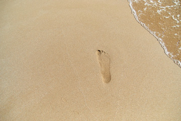 Footprint on sand at the beach. Texture background Footprints of human feet. Copy space