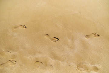 Footprint on sand at the beach. Texture background Footprints of human feet. Copy space