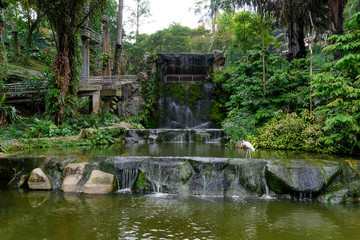 Fototapeta na wymiar A zoopark in Kuala Lampur in Malaysia